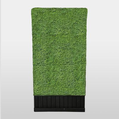 Image of Single-Sided Boxwood Hedge